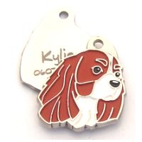 pet tag engraved 2014090404.jpg Namnbrickor för hundar MjavHov - Graverade ID-brickor webbshop